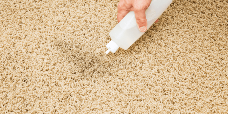 How to Extend the Lifespan of Your Carpets: Maintenance Tips and Tricks